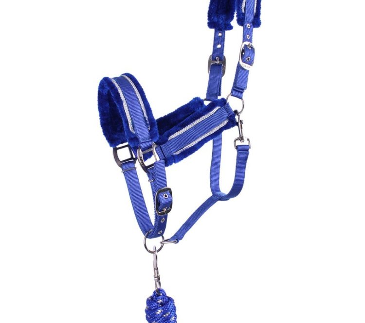 Cobalt Blue/Silver