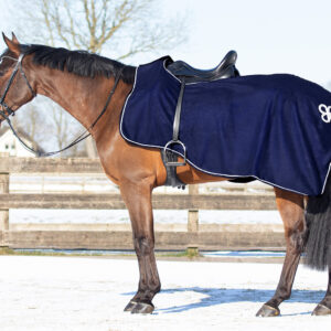 Coprireni pile "Ornament" Blue/Silver