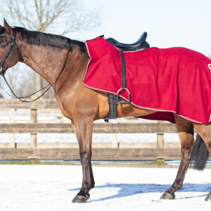 Coprireni pile "Ornament" Burgundy/Silver