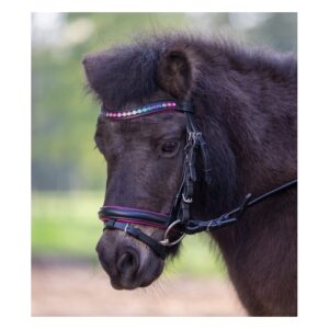 Testiera Pony Star "Pinky" Black/Fuchsia