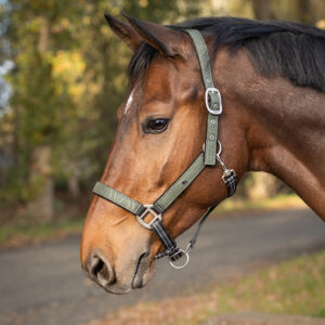 Capezza+longhina Turnout Collection Botanista