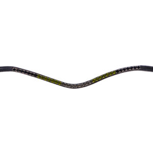 Frontalino Gradient Collection Botanista