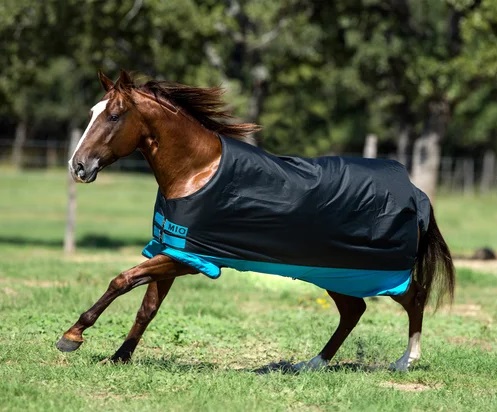 Black/Turquoise/Black