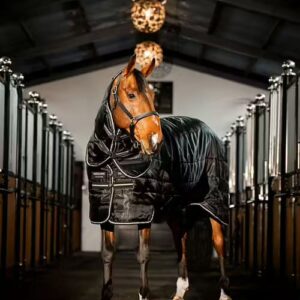 Sottocoperta/coperta da box Horseware® Easy-Layer Stable Plus 200gr-400gr