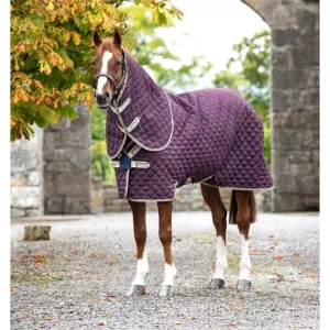 Coperta da box/Liner Amigo® Quilted Stable Plus 200gr-400gr