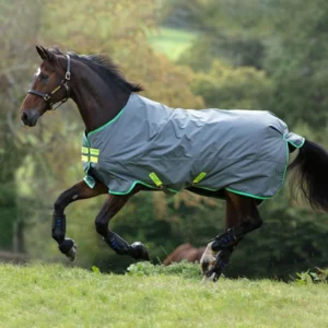 Coperta da paddock Amigo® Hero 900 T/O Turnout 200gr