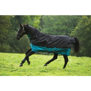 Coperta da paddock Mio All-In-One Turnout 0gr-200gr-350gr
