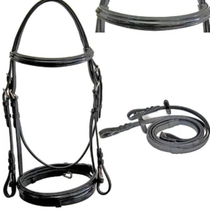 Briglia inglese in cuoio con riporti in vernice