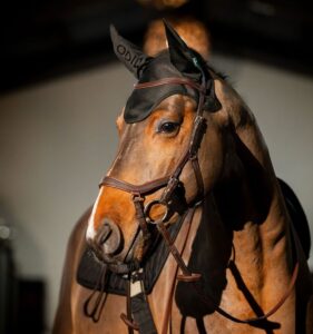 Cuffietta Amigo&reg; Ear Net Black