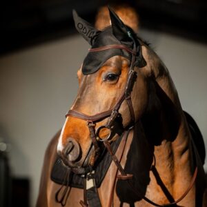 Cuffietta Amigo® Ear Net Black