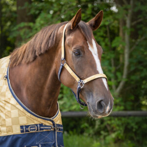 Set capezza+longhina Sandy Beach