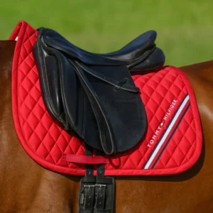 Sottosella TH Stanford Dressage Primary Red