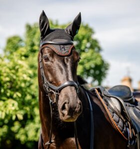 Cuffietta Horseware® Newmarket Witney Gold