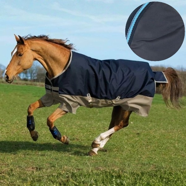 Navy/Electric Blue/Navy