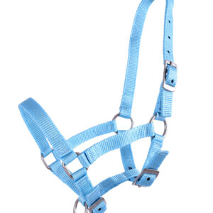 Capezza puledro Baby Blue