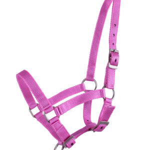 Capezza puledro Pink
