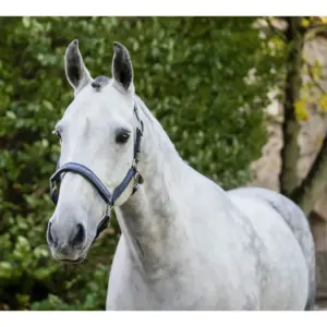 Capezza Horseware® Grooming