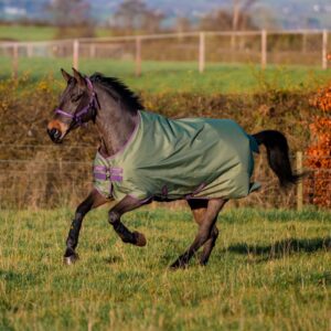 Coperta da paddock Amigo&reg; Hero Ripstop Turnout 0gr Bramble/Winterberry/Taupe