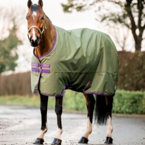 Coperta da paddock Amigo® Hero Ripstop Turnout 0gr-50gr