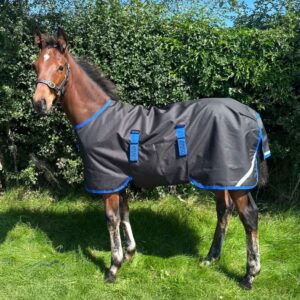 Coperta da paddock per puledri Amigo® Ripstop 900D Foal Turnout 50gr-200gr