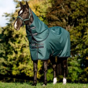 Coperte, copricollo, accessori & therapy Horseware®