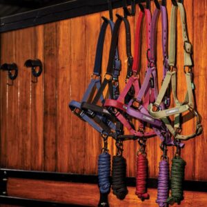 Capezza+longhina Amigo®