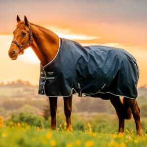 Coperta da paddock Amigo® Ripstop 900D Turnout 100gr Witney Navy