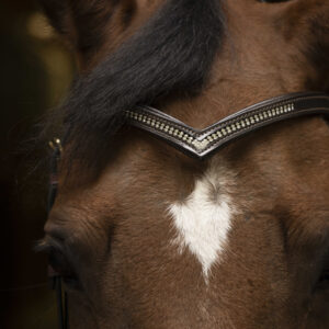 Frontalino V Diamond Havana
