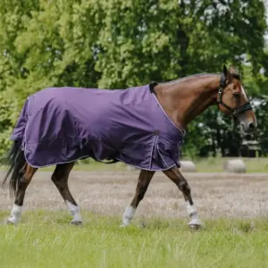 Coperta da paddock EQUITHÈME - TYREX Aisance 600D 300gr Plum
