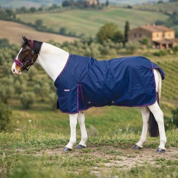 Navy/Pink
