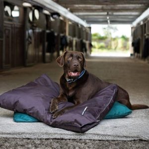 Horseware Rambo Pillow Dog Bed