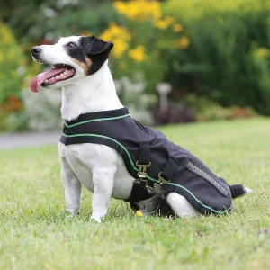 Coperta massaggiante Sportz-vibe Dog Rug