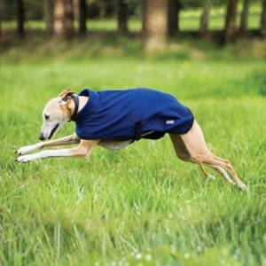 Amigo Fleece Dog Coat