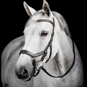 Briglia Horseware Micklem® Diamante Competition