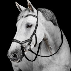 Briglia Horseware Micklem® Deluxe Competition