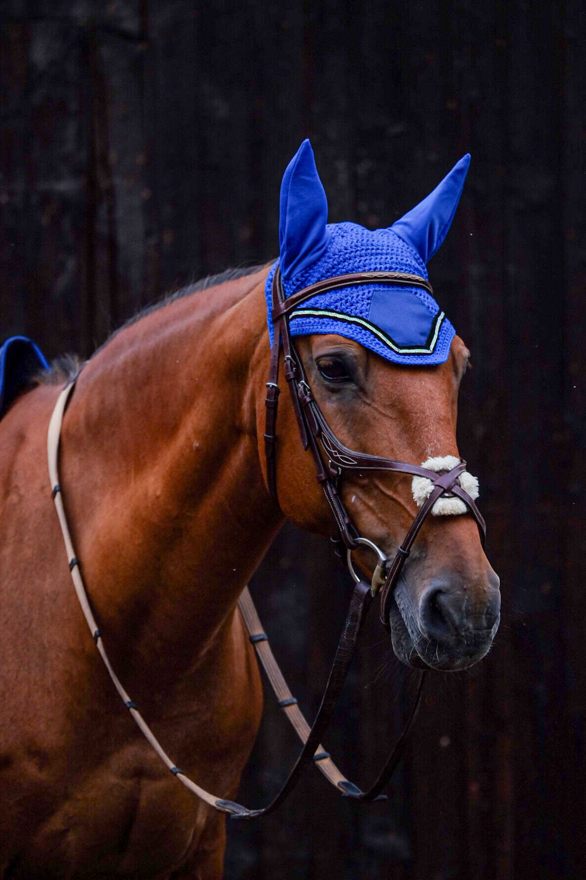 Royal Blue