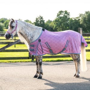 Coperta antimosche per puledri e Falabella Rosalynn Pink/Blue