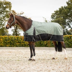 Coperta da Paddock Collection per puledri e Falabella 1200D 150gr Lineair Motion