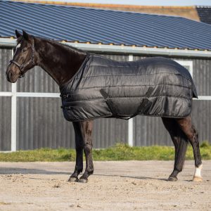 Coperta da box per puledri e Falabella Glitter 150gr Black